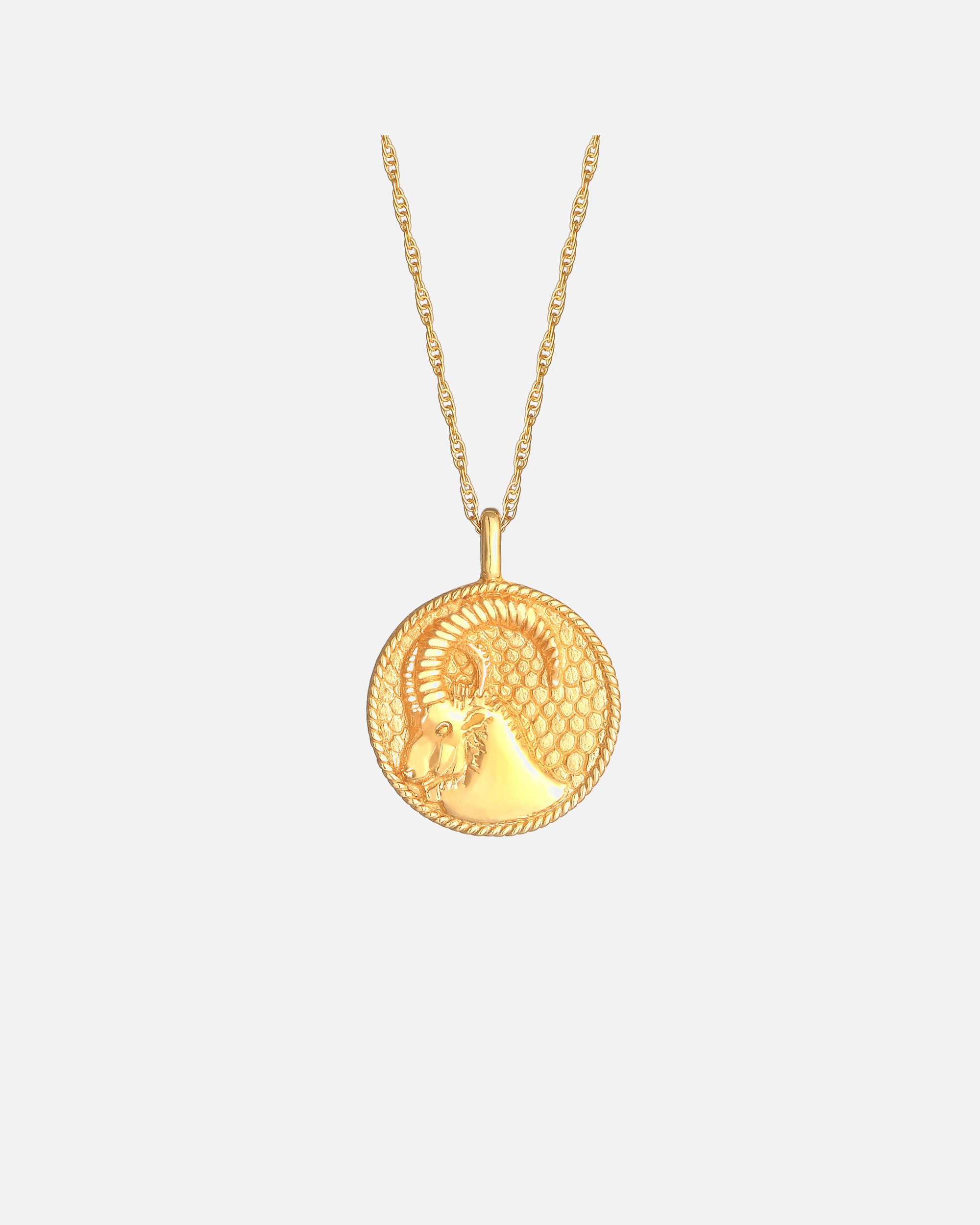 Moneta Elli antica del segno zodiacale del Capricorno per donna, tendenza astrologica in argento sterling 925
