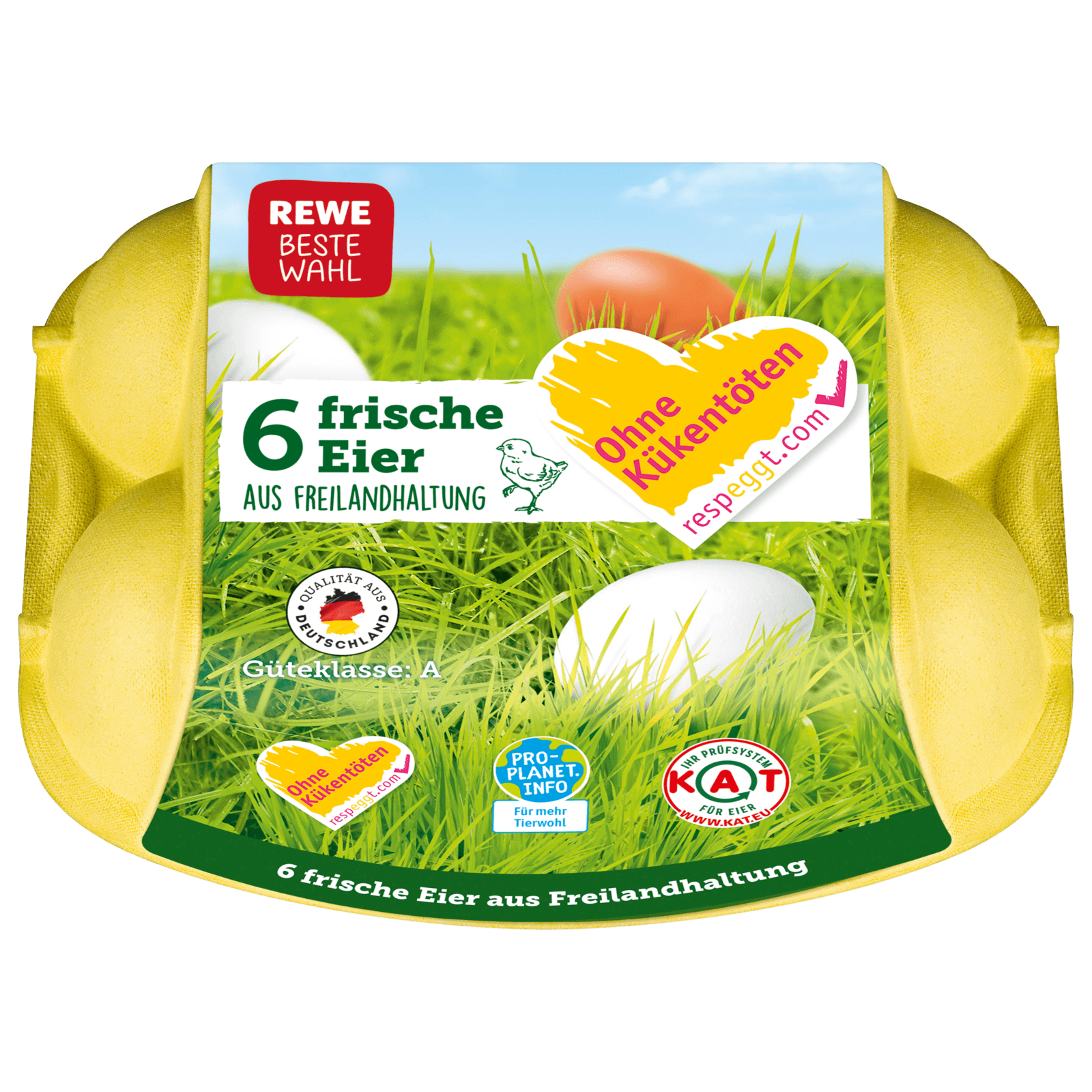 REWE Beste Wahl Eier Freilandhaltung 6 Stück