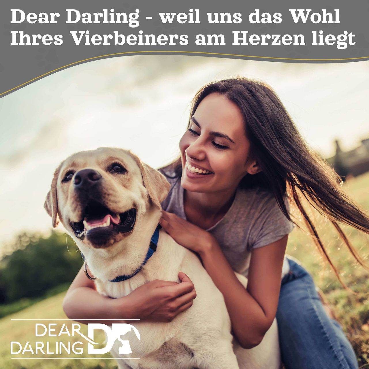 Dear Darling DD-06 Luxus Hundebett Braun Anthrazit Gr. L 80x80cm Memoryschaum Matratze