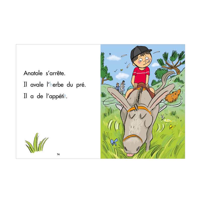 Livre Sami à dos d'âne, Niv 1 CP - Hachette Education