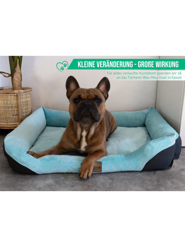 Aspero Hundebett Hanko in Blau günstig kaufen