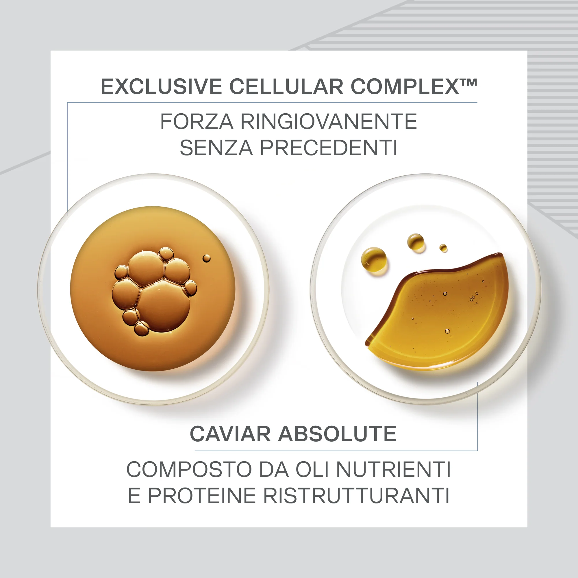 Skin Caviar Absolute Filler Crema Viso - Lifting filera