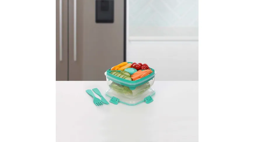 sistema Lunchbox SALATBOX TO GO 1,1l Achtung: diesen Artikel gibt es in verschiedenen farblichen Ausführungen. Sie erhalten nur 1 Artikel (zufällige Auswahl im Lager). Eine Vorauswahl ist leider nicht möglich.