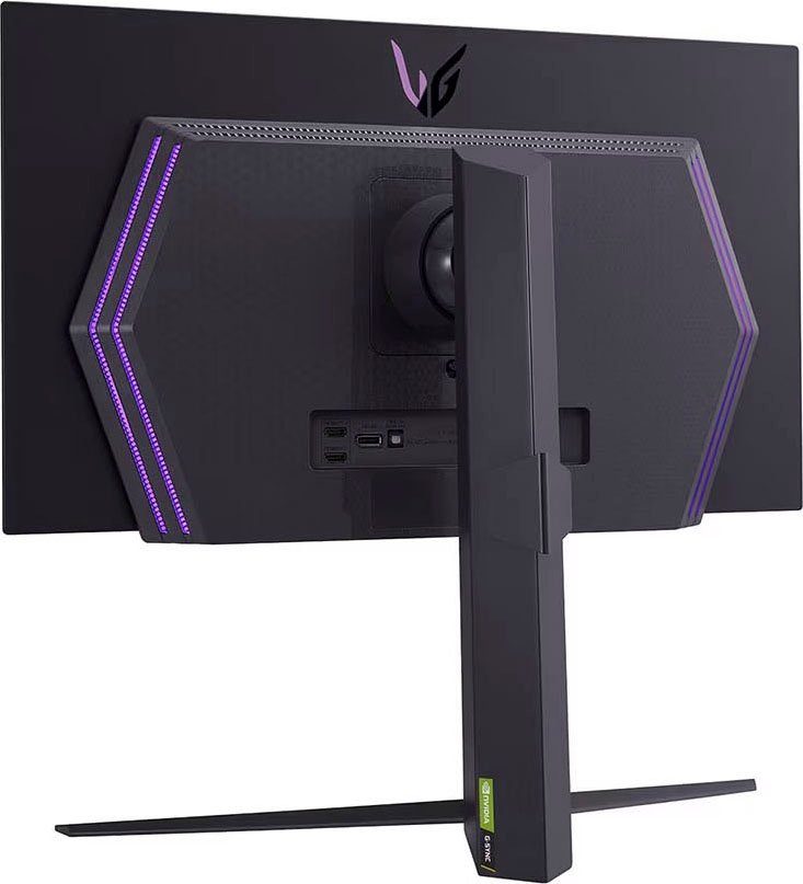 LG 27GR95QE Gaming-Monitor (67 cm/27 