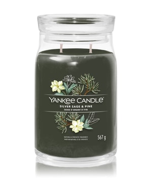 Yankee Candle Siver Sage & Pine Signature Jar Duftkerze-368 g