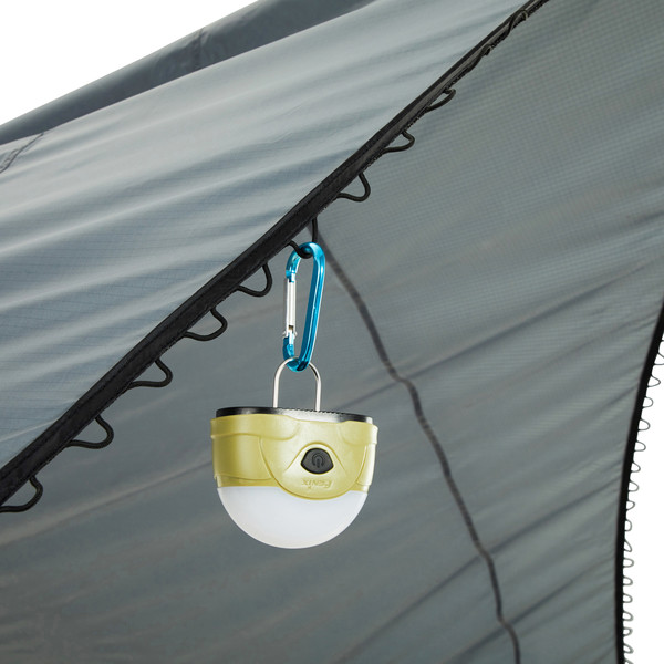 DAWN L TARP