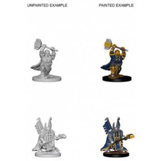 Dwarf male Paladin: Nolzurs Marvelous Unpainted Minis
