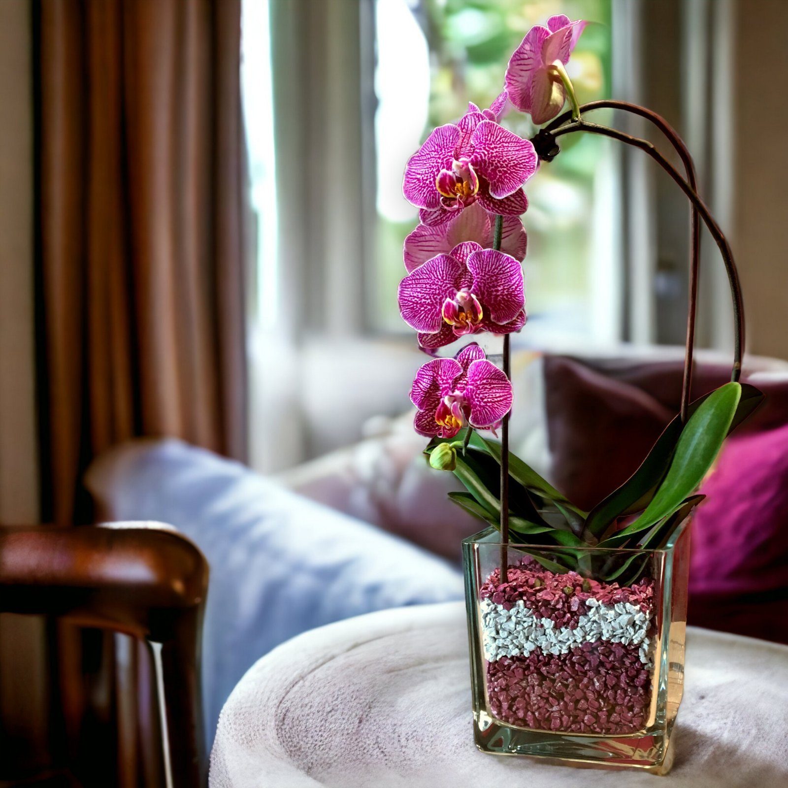 colomi Pflanzgranulat Spezial Pflanzboden für Orchideen - patentiert weiss, mit Ionenaustauscher, 1 Liter
