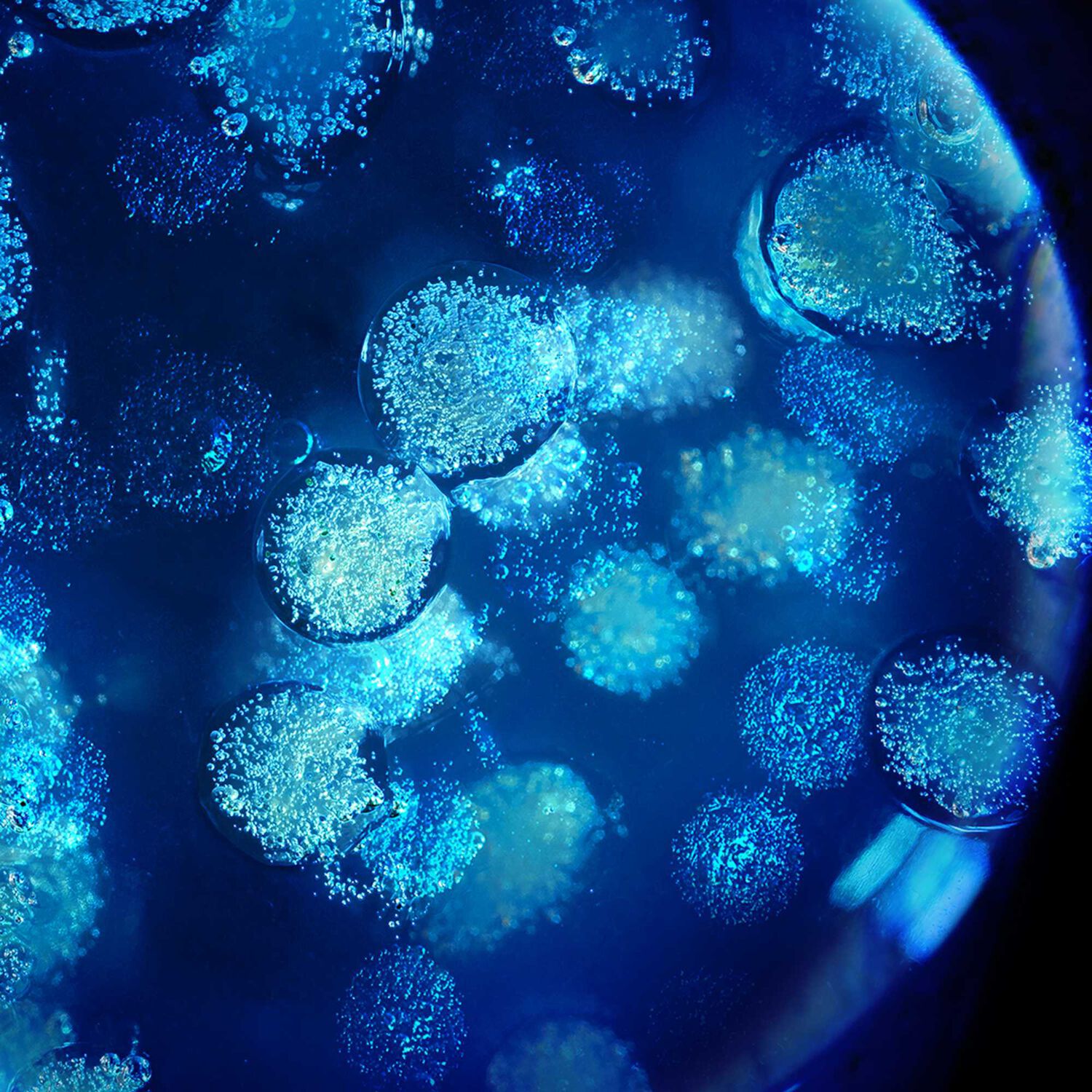 Biotherm Biovergetures Prévention et Réduction des Vergétures