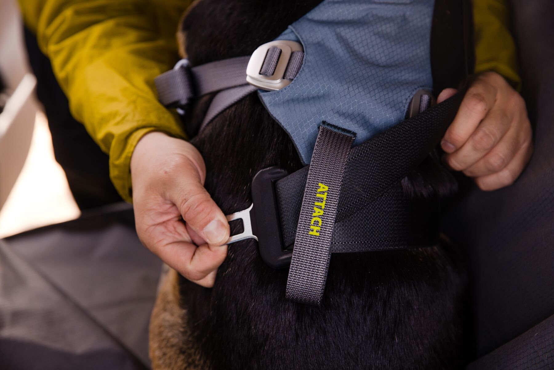 Ruffwear Autozubehör Ruffwear Auto-Sicherheitsgeschirr Load Up™ XXS