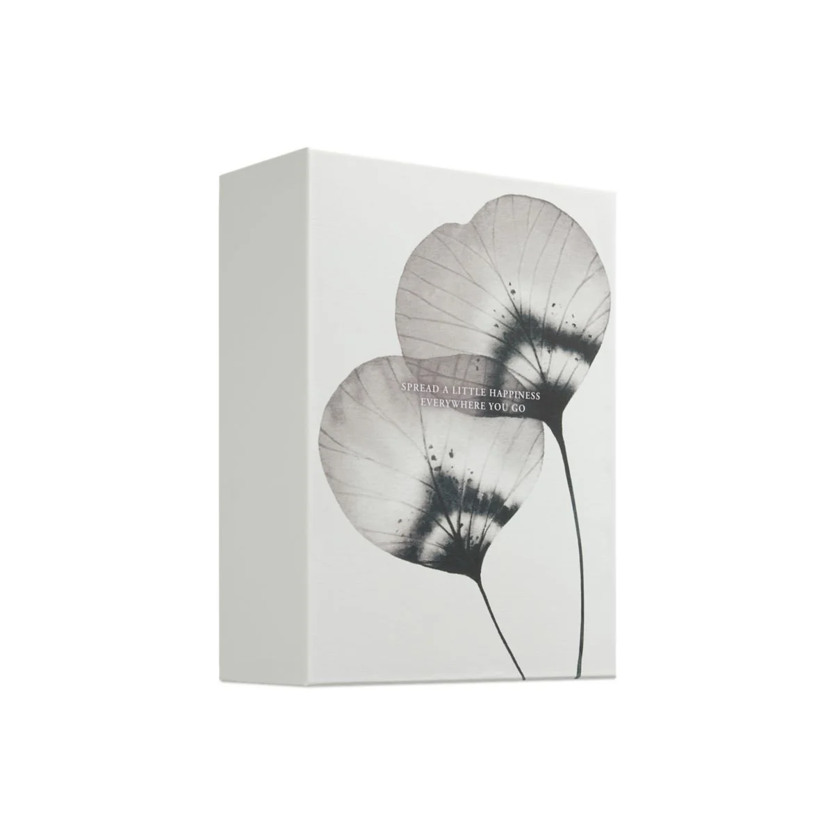 Homme miesten kylpy- ja vartalonhoitosetti, suuri - Homme & Sport -mallisto - Cofanetto Corpo