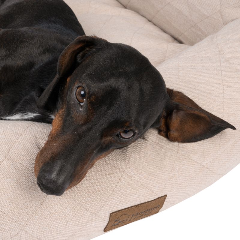 Modern Living Hundebett Muscat zu TOP-Preisen