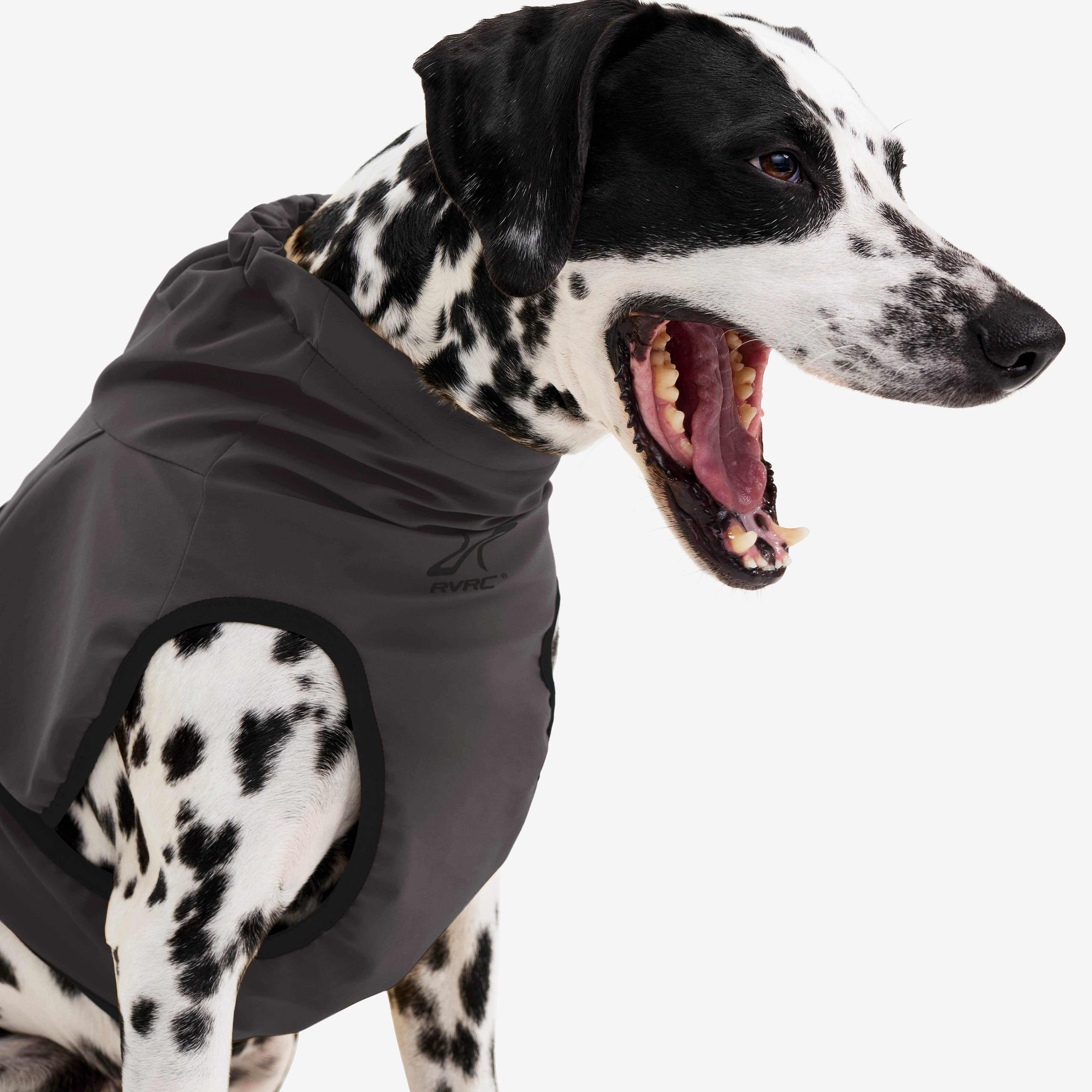 Cyclone Dog Jacket Chien Obsidian