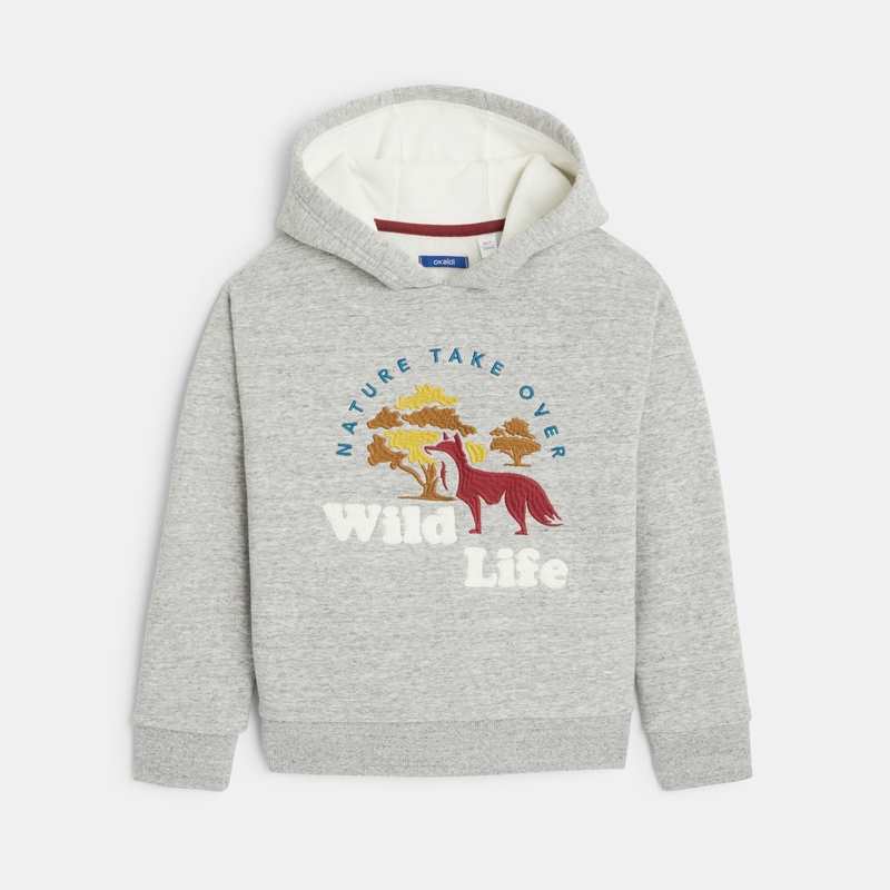 Sweat-shirt à capuche gris garçon