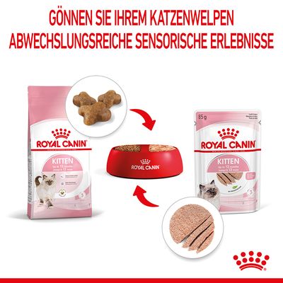 Royal Canin Kitten Mousse