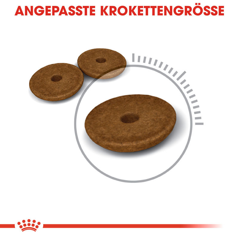 ROYAL CANIN Trockenfutter ROYAL CANIN Digestive Care 4 kg