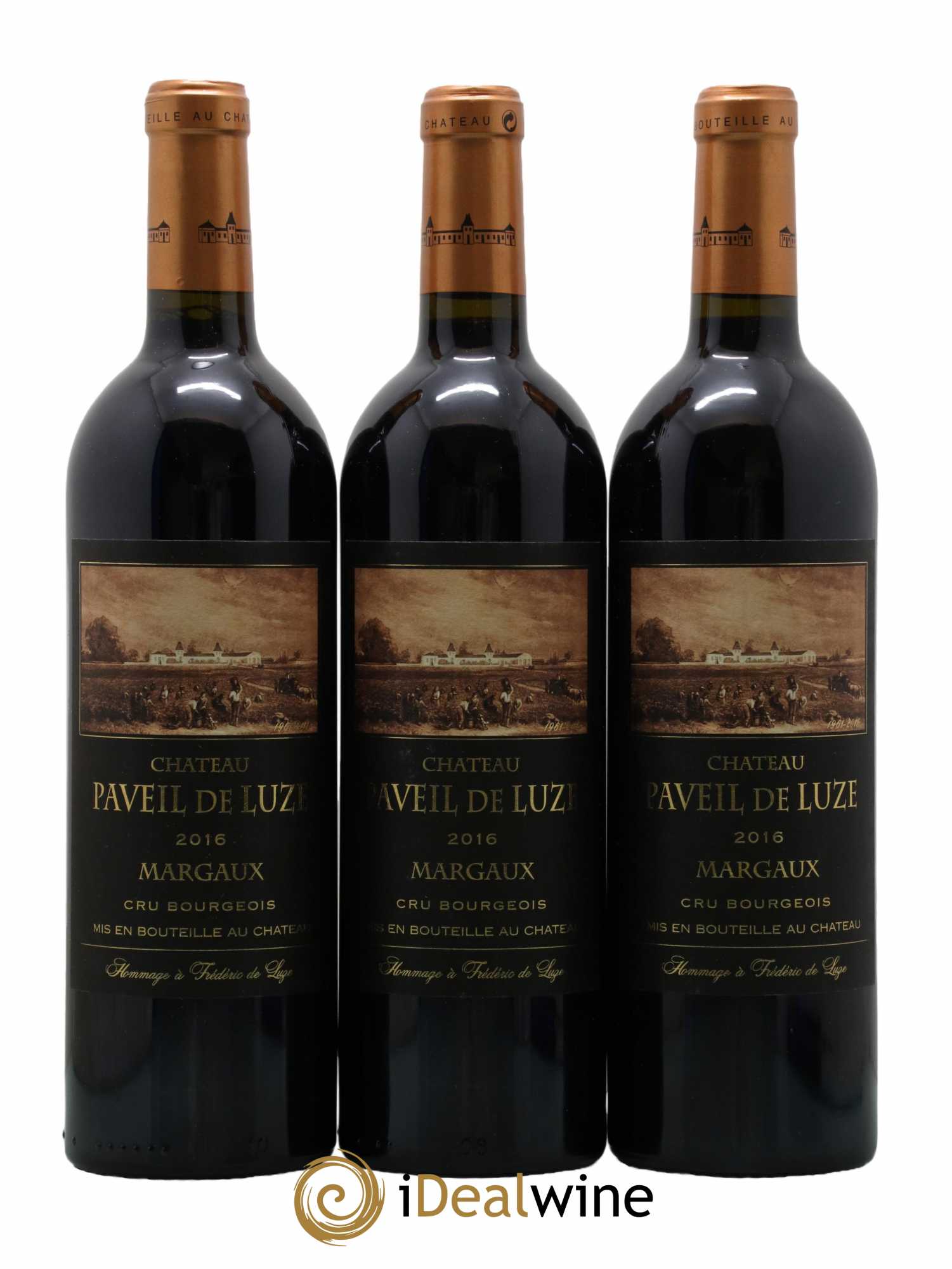 Château Paveil de Luze Cru Bourgeois  2016 - Lot de 6 Bouteilles