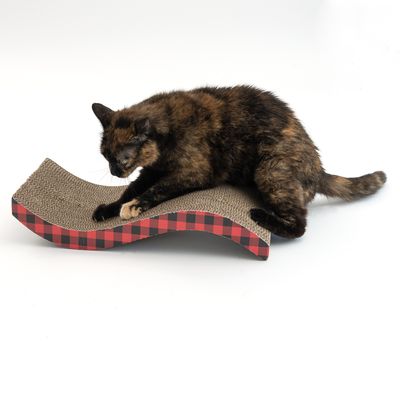 TIAKI Kratzwelle aus 100% recycelter Pappe