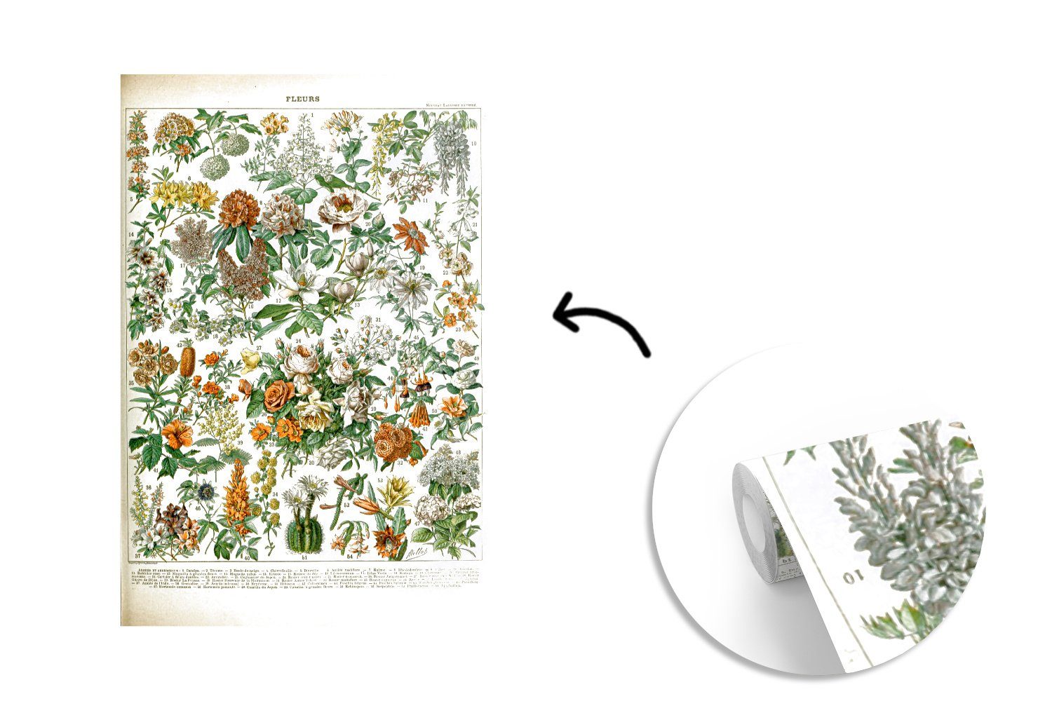 MuchoWow Fototapete Blumen - Orange - Gelb, Matt, bedruckt, (3 St), Montagefertig Vinyl Tapete für Wohnzimmer, Wandtapete