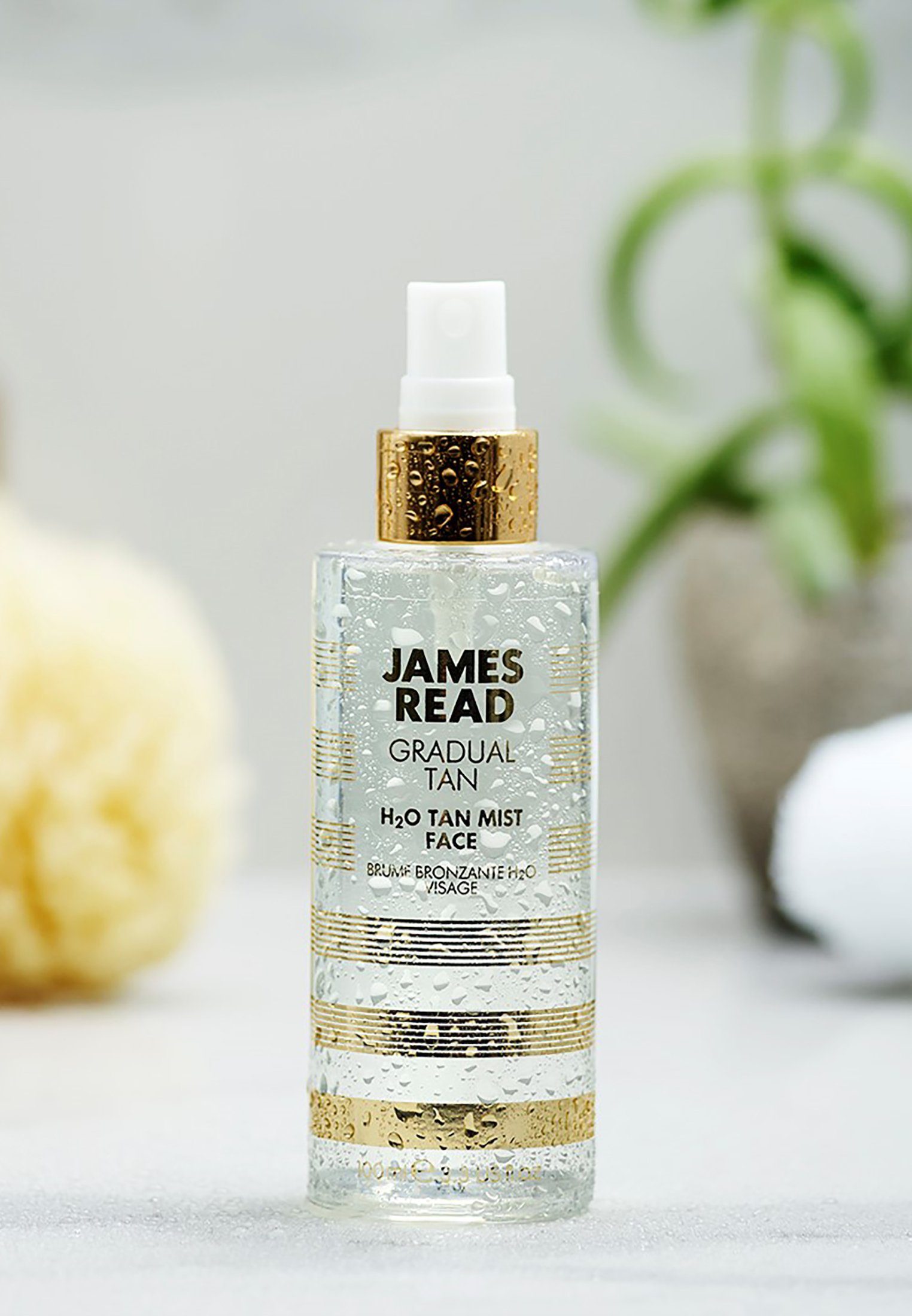 James Read Selbstbräunungskonzentrat James Read Selbstbräuner Coconut Tan Mist Face
