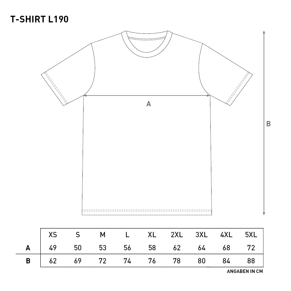 Herren T-Shirt MAUER schwarz