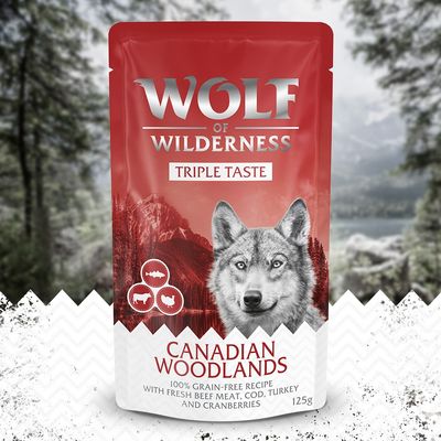 Wolf of Wilderness 