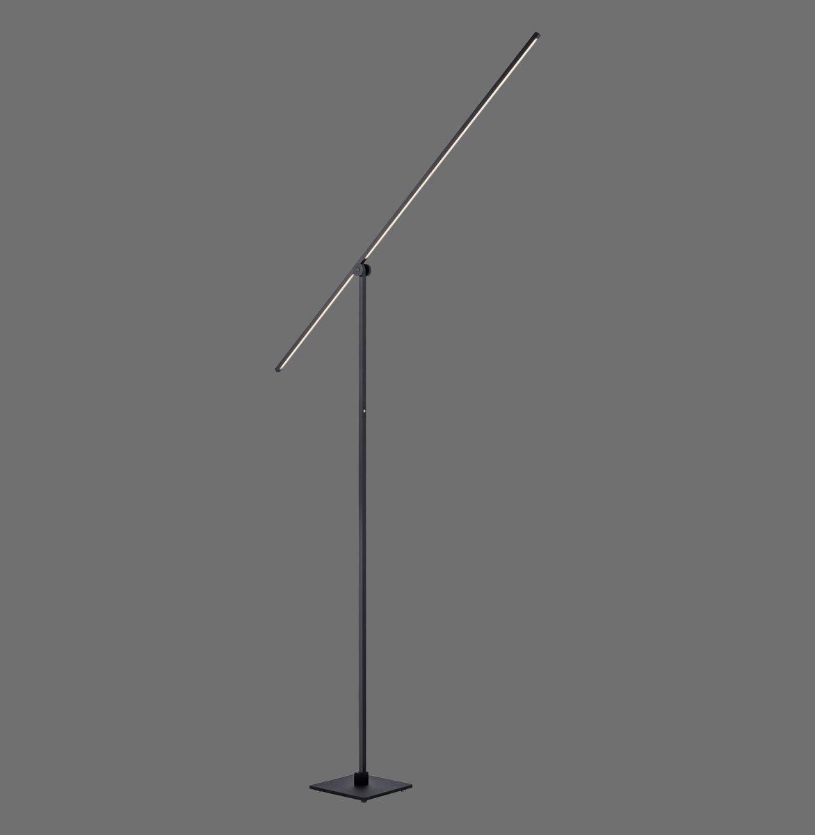 Paul Neuhaus LED Stehleuchte Pure-Grafo L Schwarz