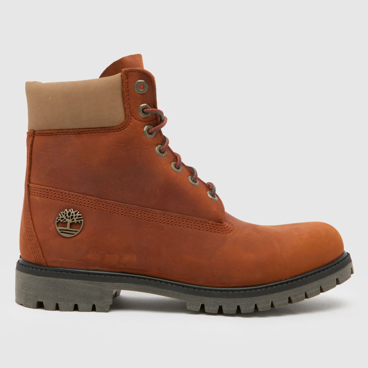 Timberland premium 6-palčni škornji v rjavi barvi