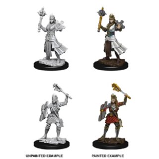 Female Human Cleric: Nolzurs Marvelous Unpainted Minis