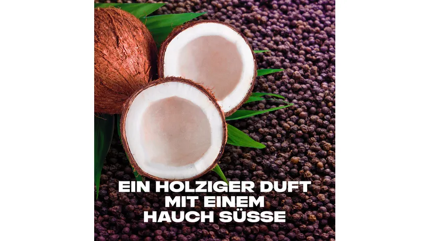 AXE Duschgel Excite 250 ml