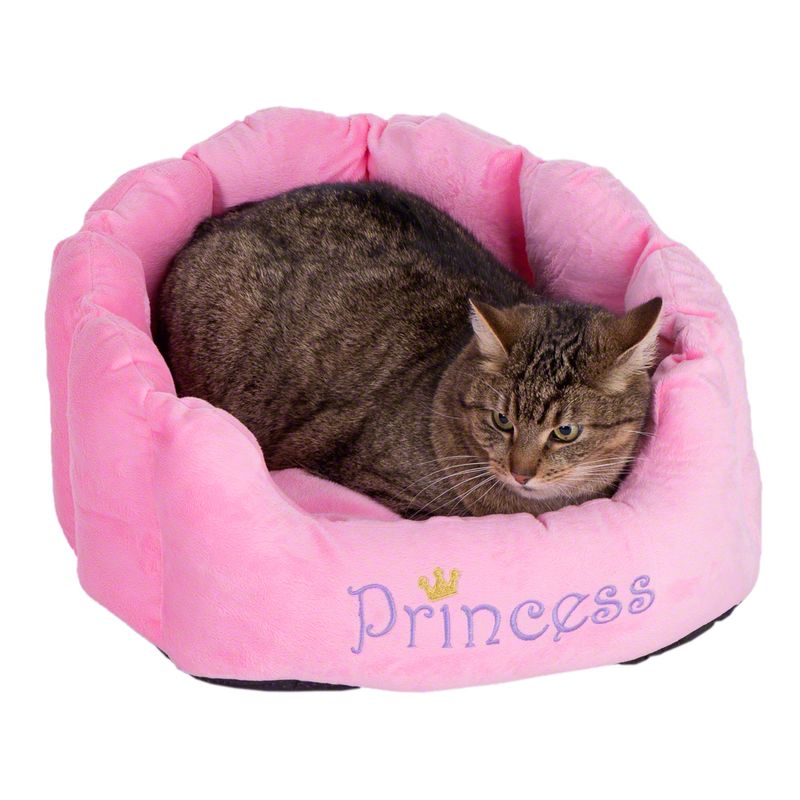 Kuschelbett Princess zu TOP-Preisen