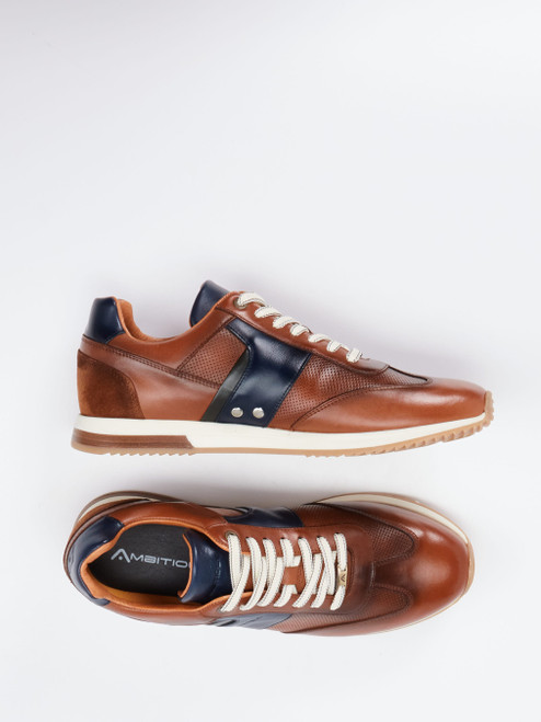Sneaker-46612890276 Ambitious