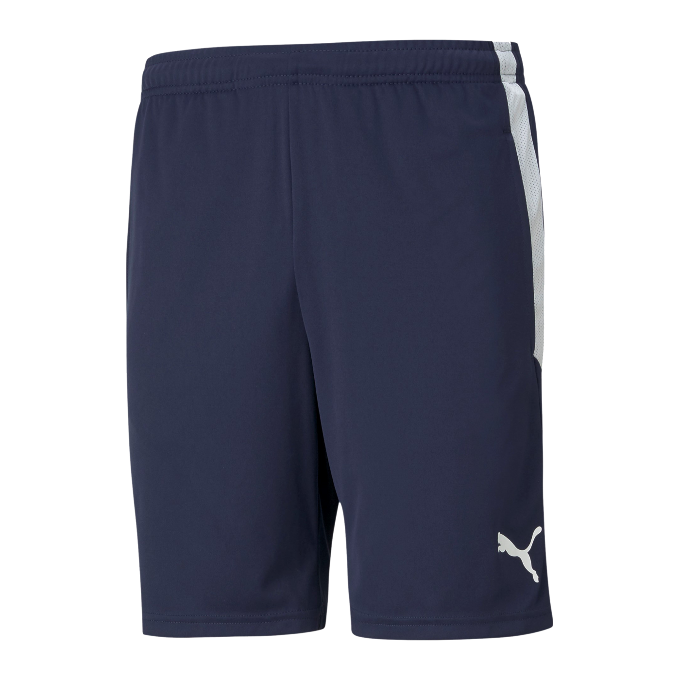PUMA teamLIGA Training Short Blau F06