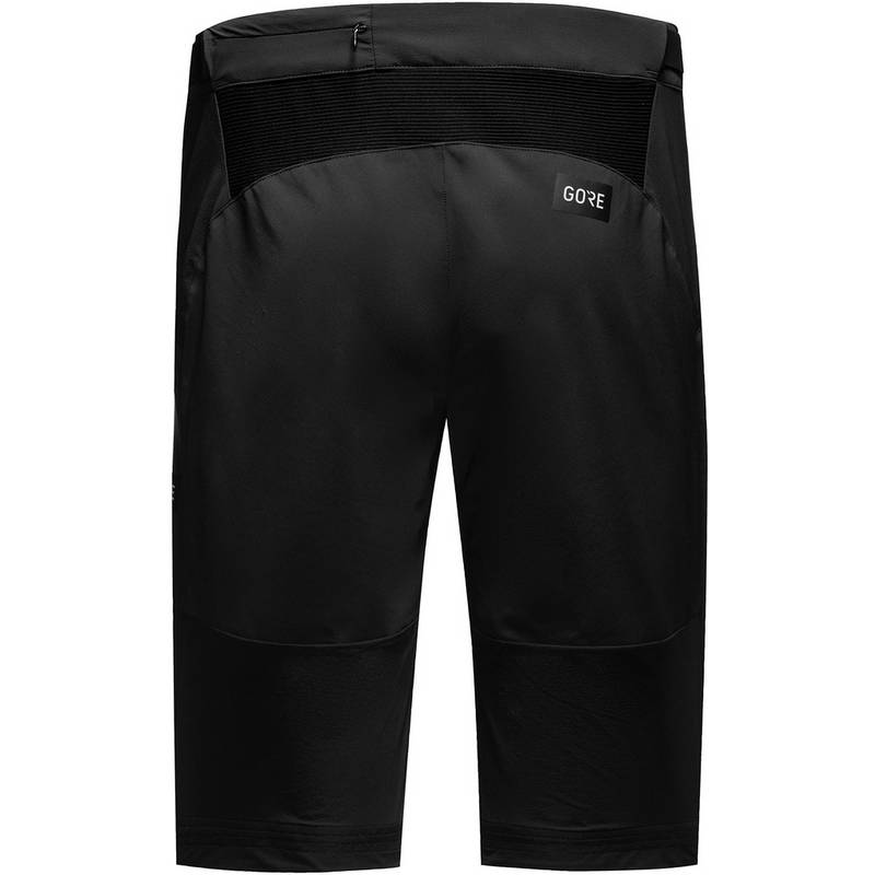 GOREWEAR Fernflow Fahrradshorts Damen