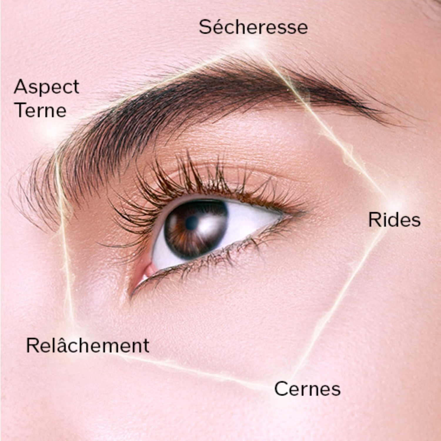 Shiseido Ultimate Radiance Eye Contour Cream Enmei