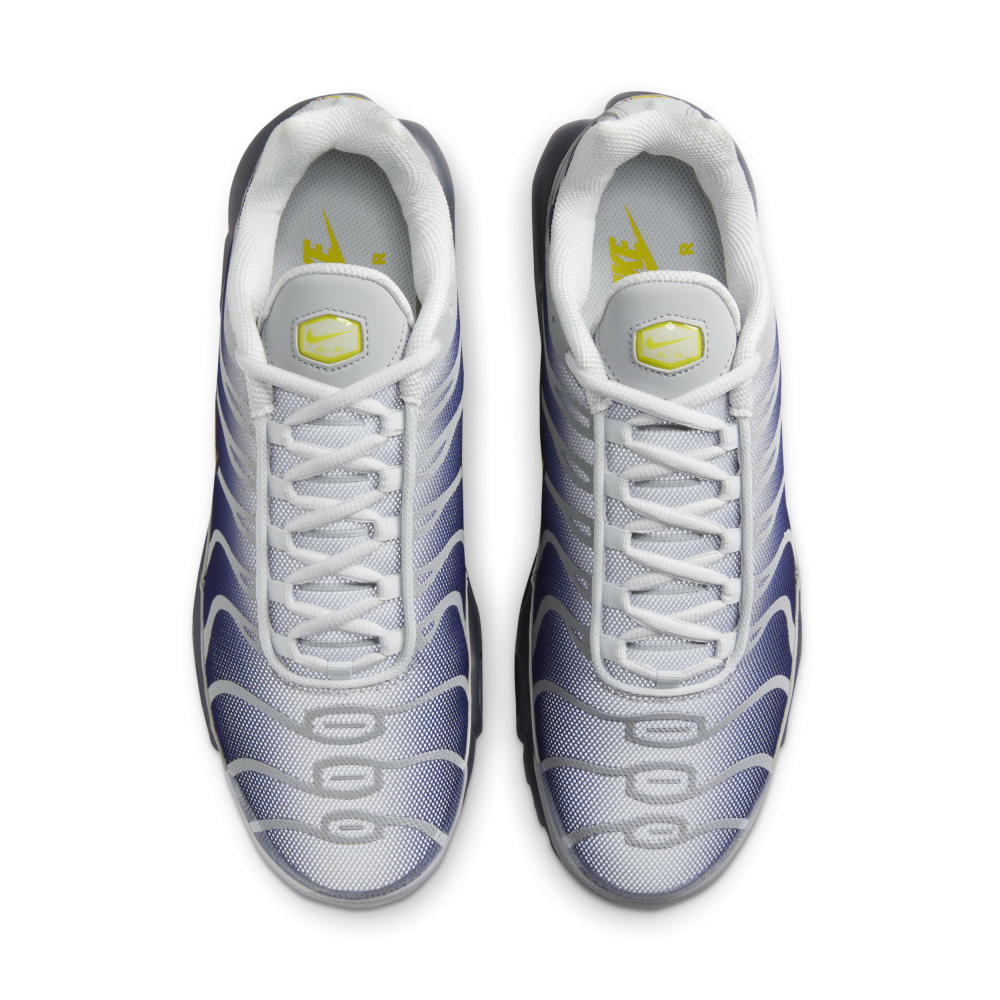Nike Air Max Plus FZ4622-001 / grau
