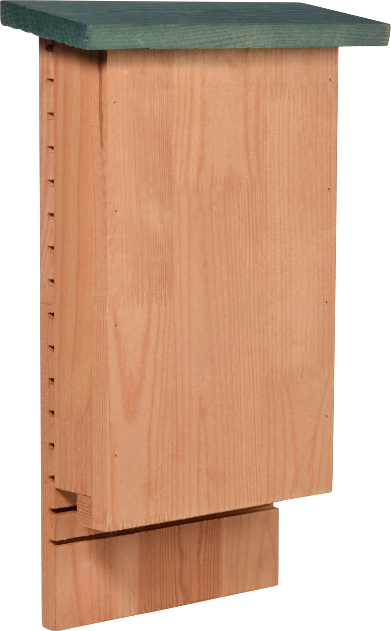 dobar Fledermauskasten 