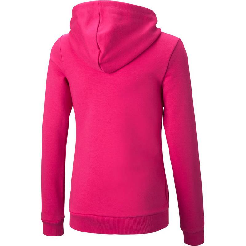 PUMA ESSENTIALS LOGO Hoodie Mdchen