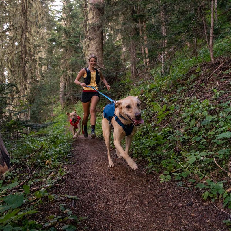 Ruffwear Switchbak Harness, Blue Moon zu TOP-Preisen | bitiba %
