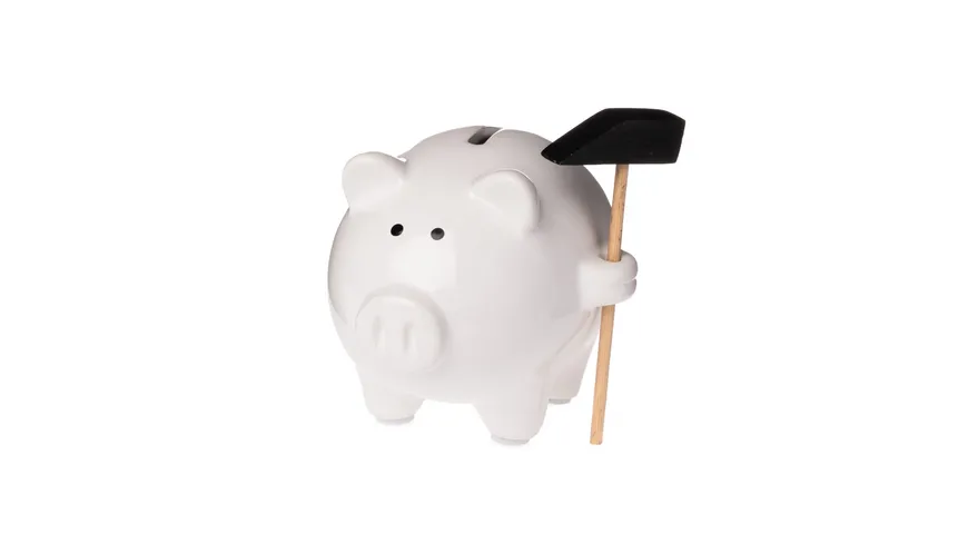 Sparschwein mit Hammer weiß, braun, schwarz