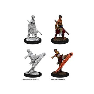 Male Half-Elf Monk: D&D Nolzurs Marvelous Miniatures