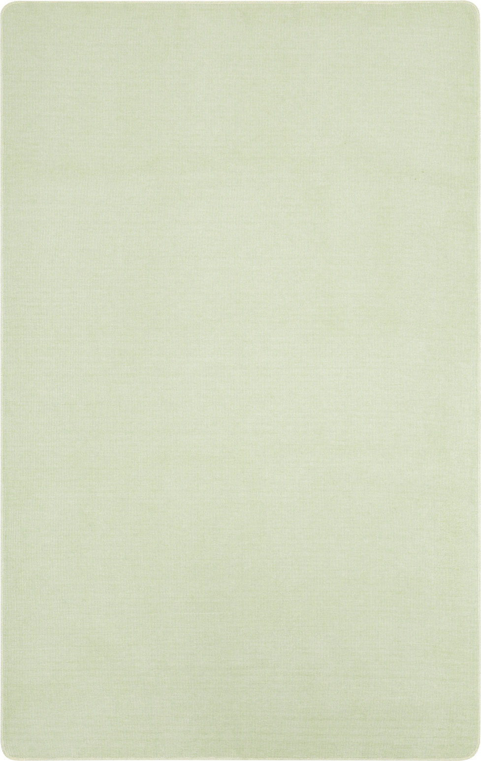BiederlackWohndecke mint