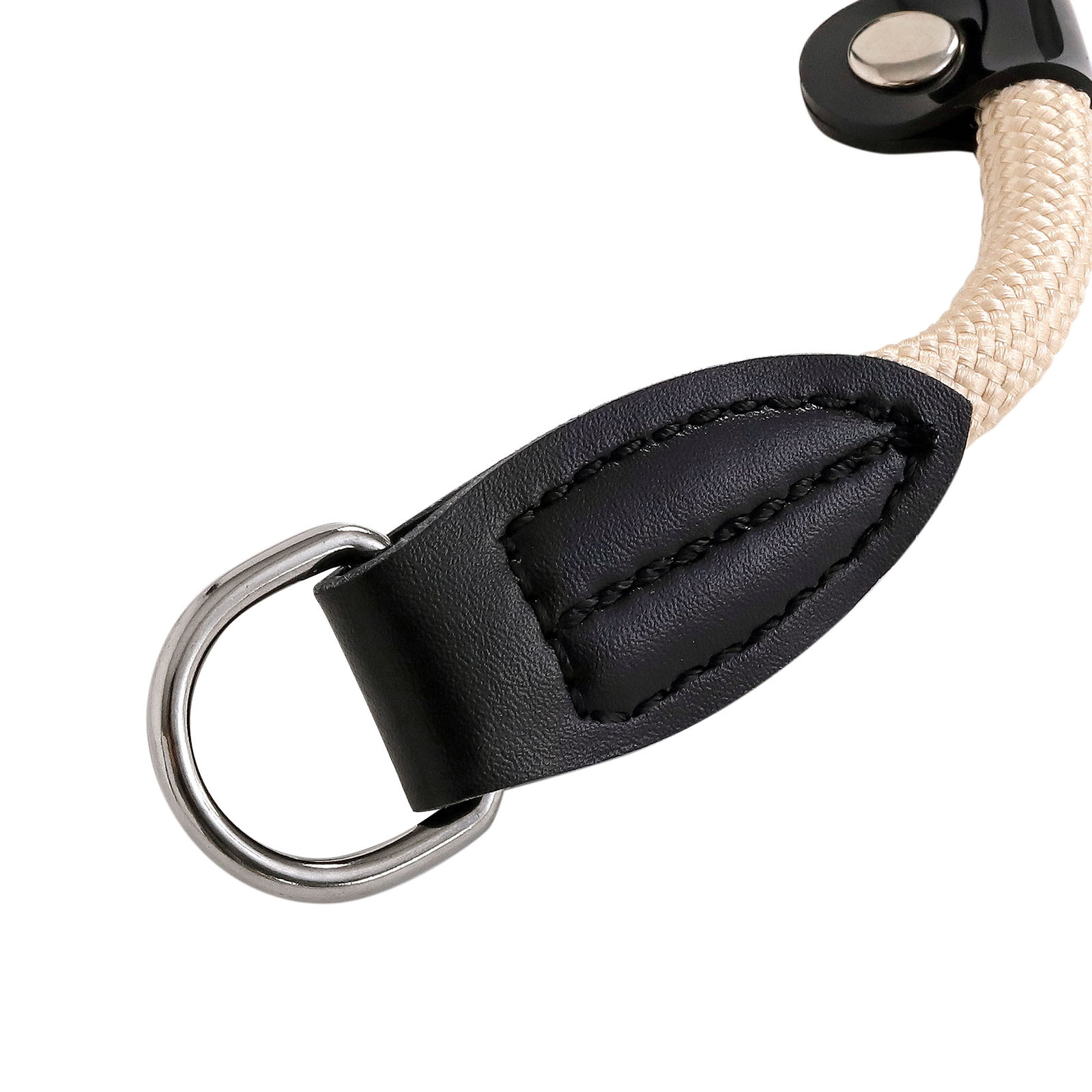 Lionto Hundehalsbänder Lionto Hundehalsband, Retrieverhalsband beige M