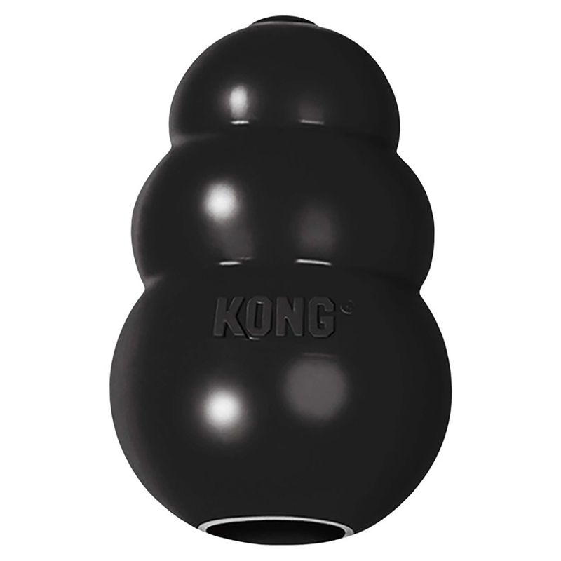 KONG Extreme zu TOP-Preisen