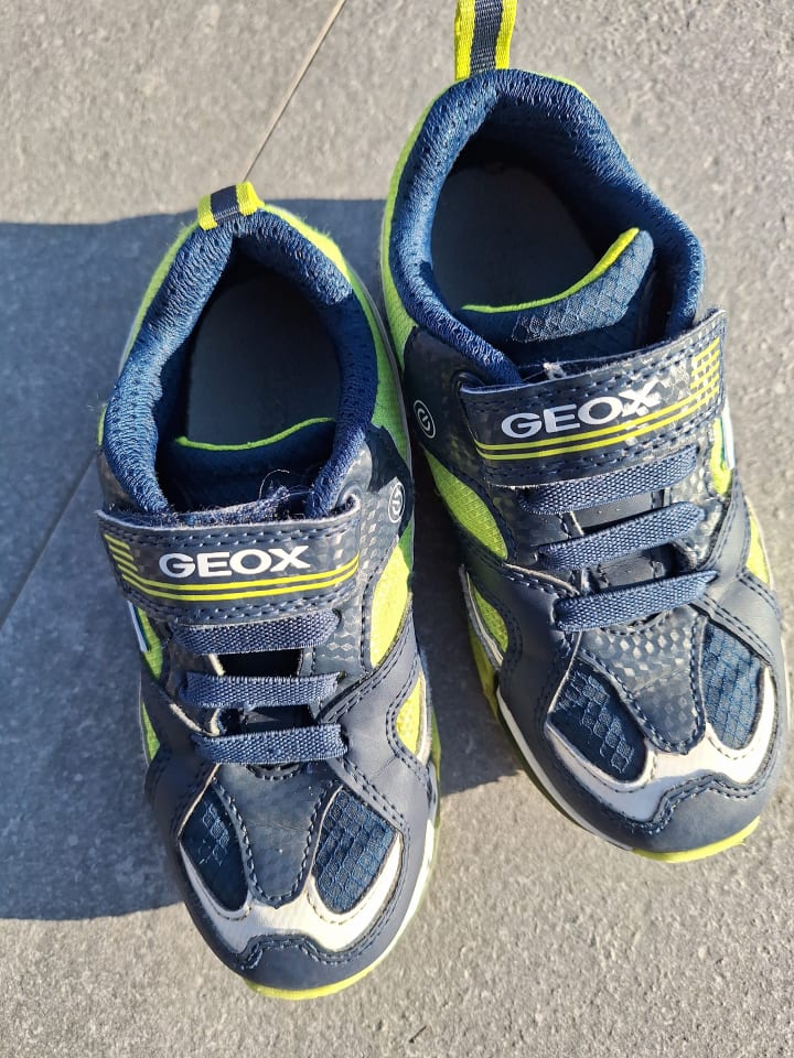 Geox Sneakers 