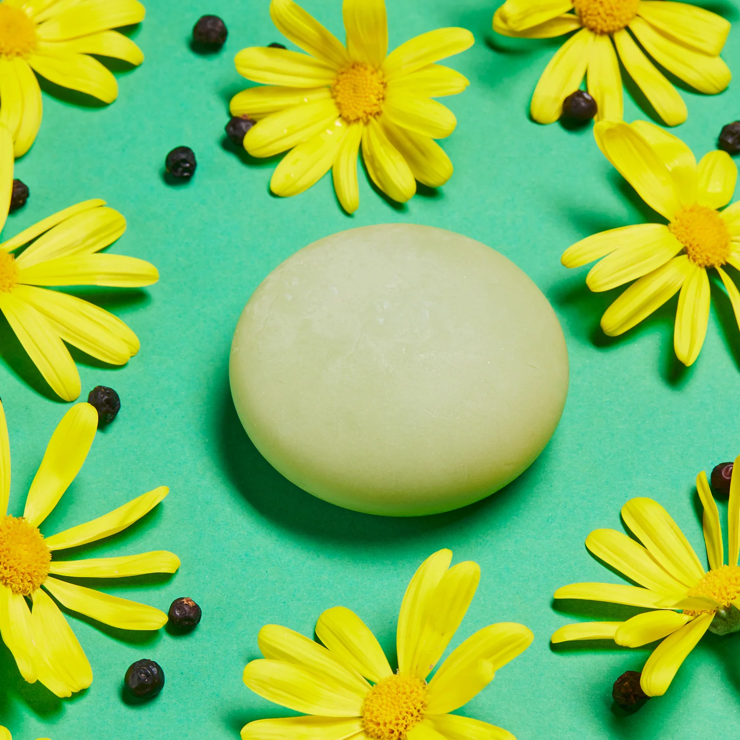 Creme Sólido EVEREST para Pés e Corpo - Creme Corporal, Tratamento para os Pés