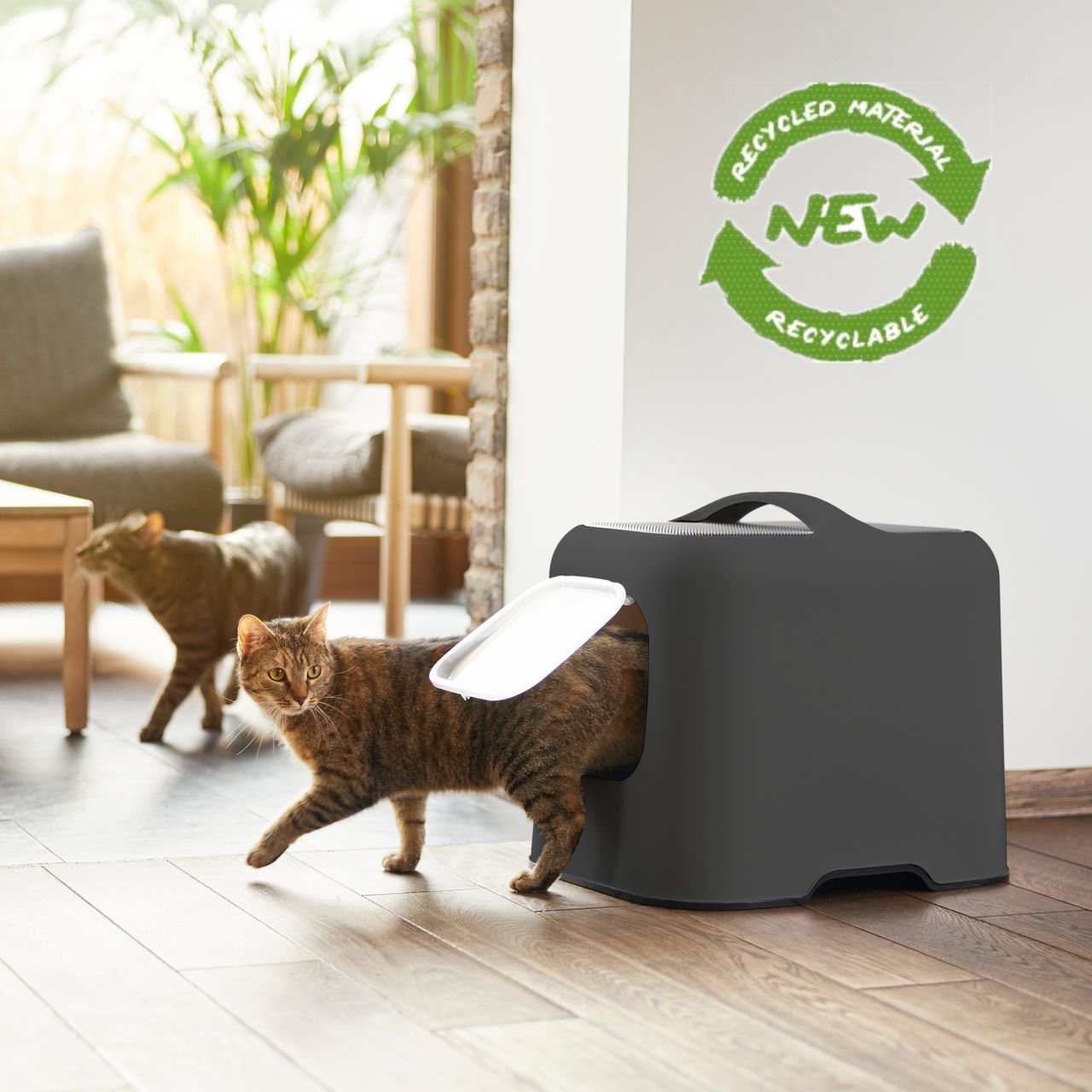 Rotho MyPet Biala Katzenklo mit Haube und Schaufel, anthrazit/anthrazit, recycletes Material