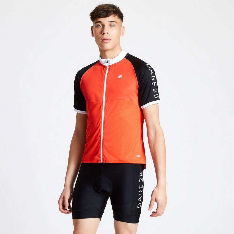 Dare 2B Ecliptic II Fahrradhose Herren