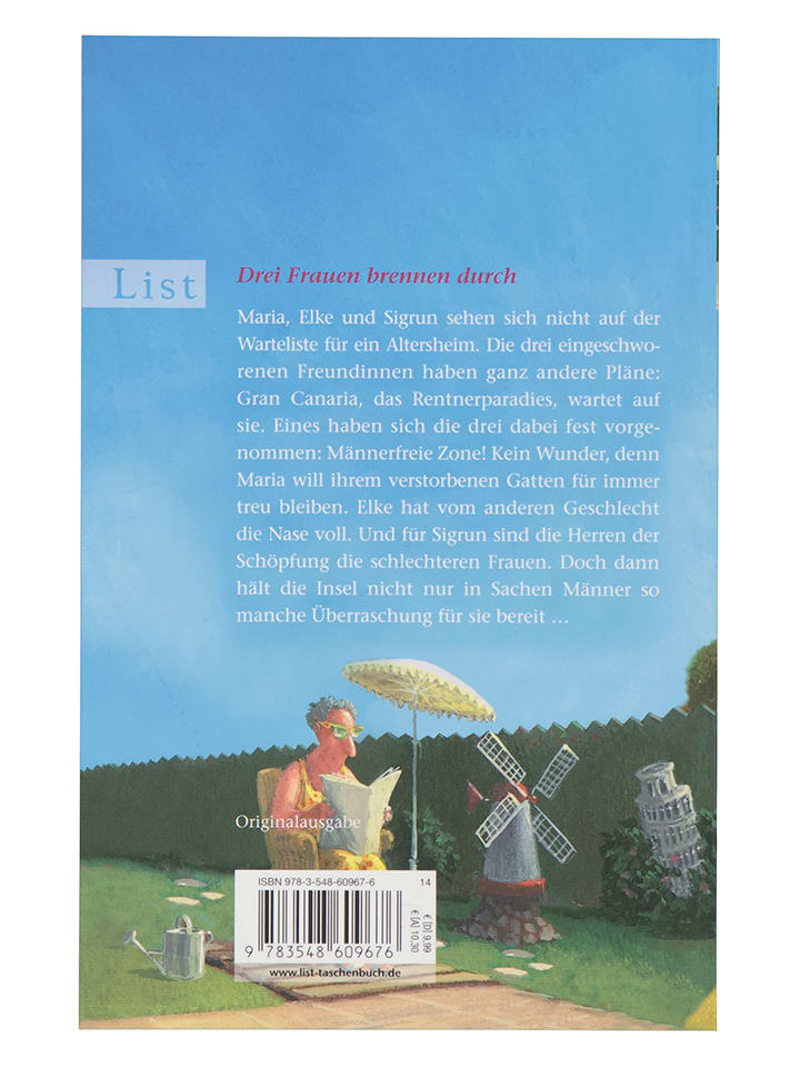 Ullstein Taschenbuchverlag Roman 