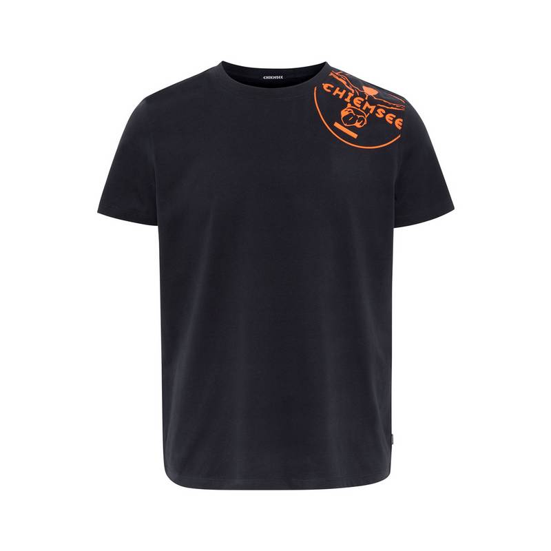 Chiemsee T-Shirt T-Shirt Herren